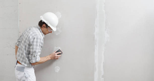 Best Mold Odor Removal Services  in Rockville Centre, NY