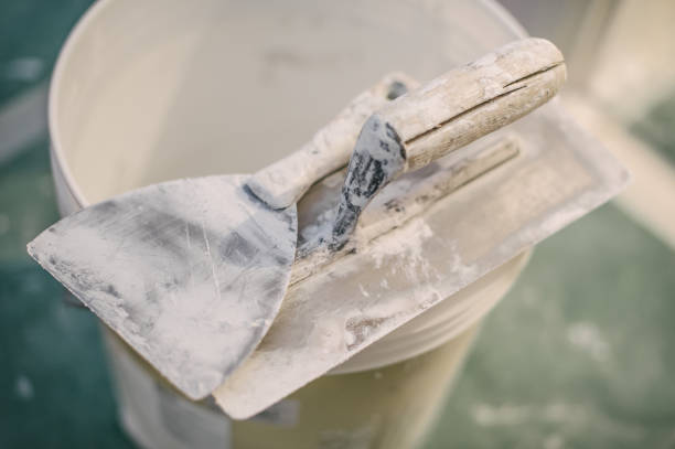 Best Basement Mold Removal  in Rockville Centre, NY