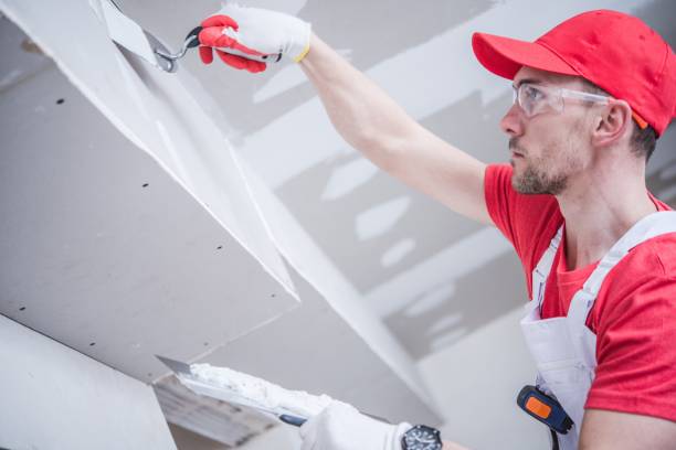  Rockville Centre, NY Mold Removal Pros